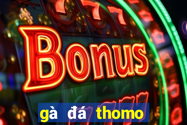 gà đá thomo trực tiếp hôm nay