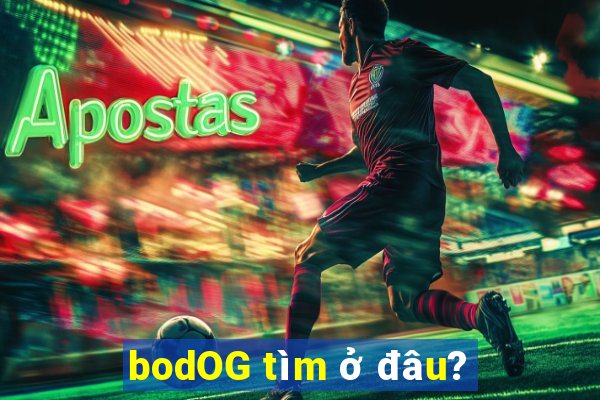 bodOG tìm ở đâu?