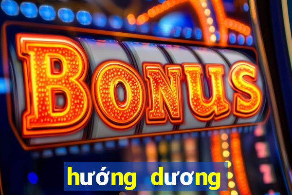 hướng dương ngược nắng