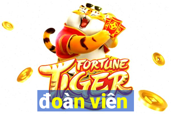 đoàn viên