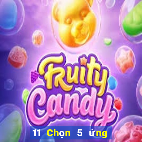 11 Chọn 5 ứng dụng Sơn Đông