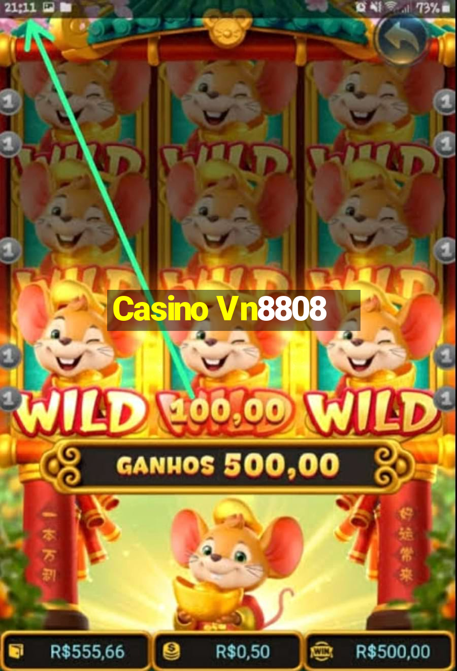 Casino Vn8808