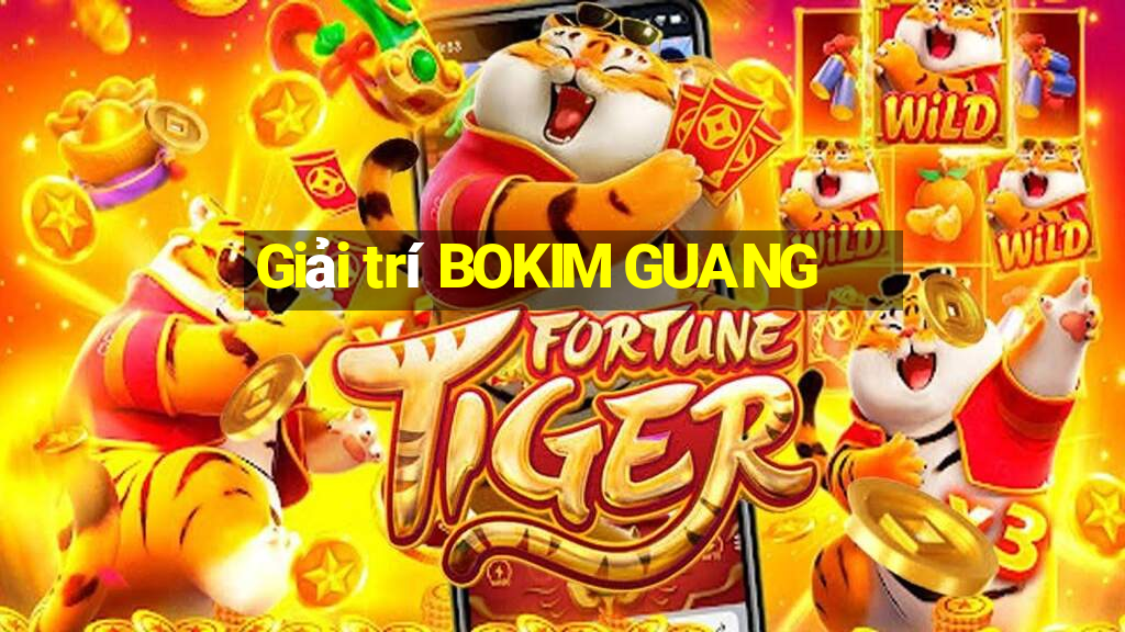 Giải trí BOKIM GUANG