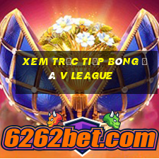 xem trực tiếp bóng đá v league