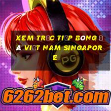 xem trực tiếp bóng đá việt nam singapore