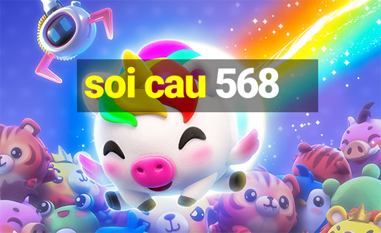 soi cau 568