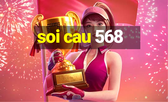 soi cau 568