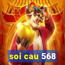 soi cau 568