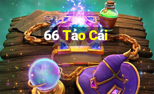 66 Tảo Cái