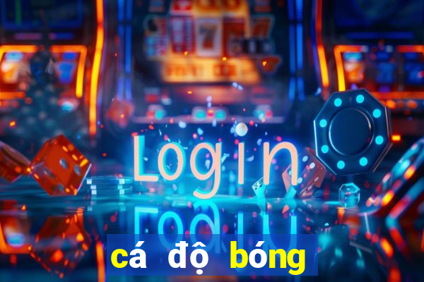 cá độ bóng đá app