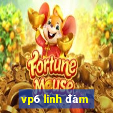 vp6 linh dam