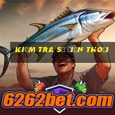 kiểm tra số điện thoại