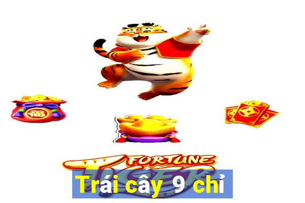 Trái cây 9 chỉ