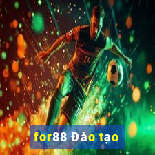 for88 Đào tạo