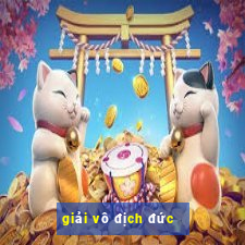 giải vô địch đức