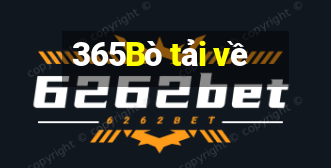 365Bò tải về