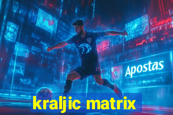 kraljic matrix