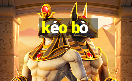 kéo bò