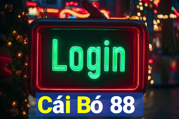 Cái Bó 88