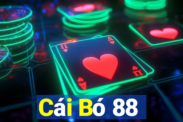 Cái Bó 88