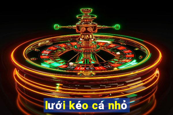 lưới kéo cá nhỏ