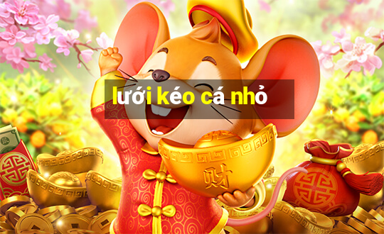 lưới kéo cá nhỏ