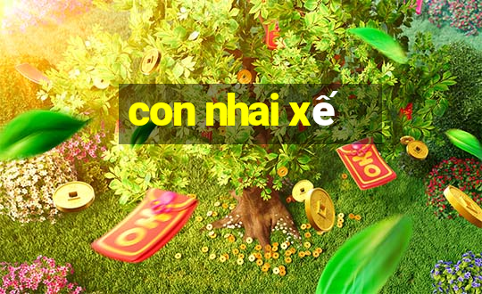 con nhai xế