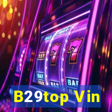 B29top Vin