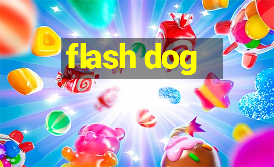 flash dog