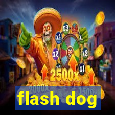 flash dog