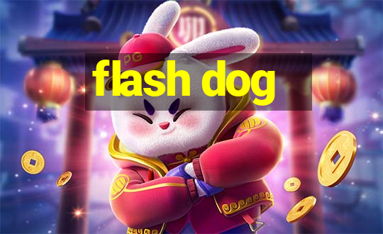 flash dog