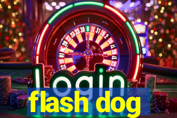 flash dog