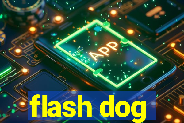 flash dog