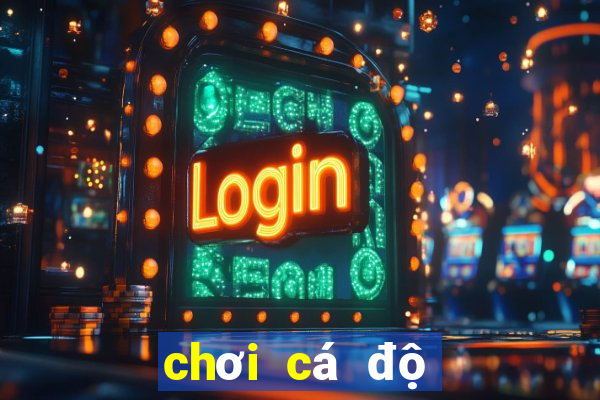 chơi cá độ bóng đá online