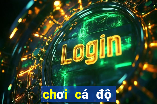 chơi cá độ bóng đá online