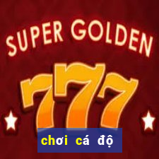 chơi cá độ bóng đá online