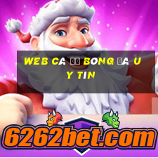 web cá độ bóng đá uy tín