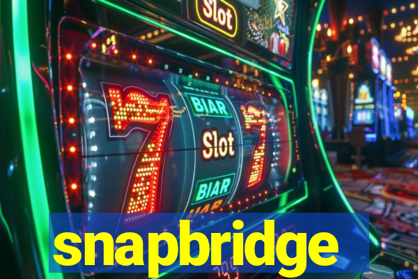 snapbridge