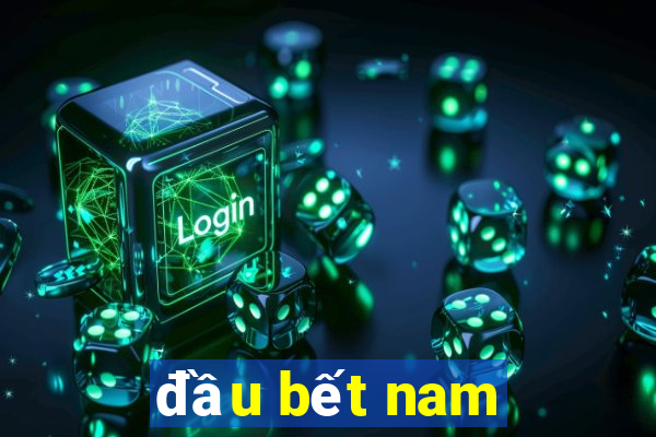 đầu bết nam