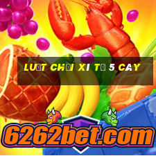 luật chơi xì tố 5 cây