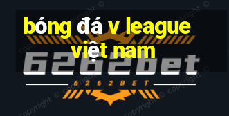 bóng đá v league việt nam