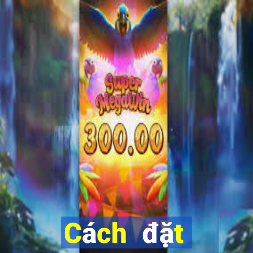 Cách đặt cược XSDTMB ngày 11