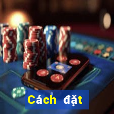 Cách đặt cược XSDTMB ngày 5