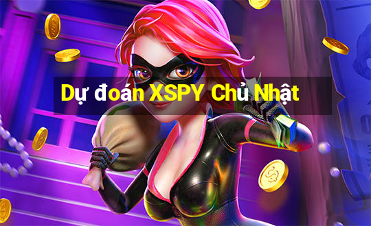 Dự đoán XSPY Chủ Nhật