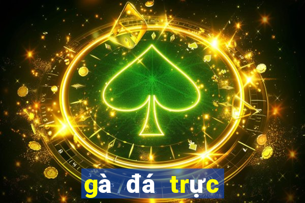 gà đá trực tiếp cpc3