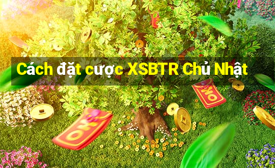 Cách đặt cược XSBTR Chủ Nhật