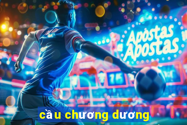 cầu chương dương