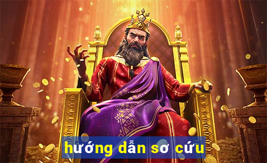 hướng dẫn sơ cứu