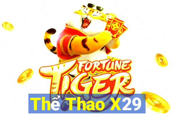 Thể Thao X29