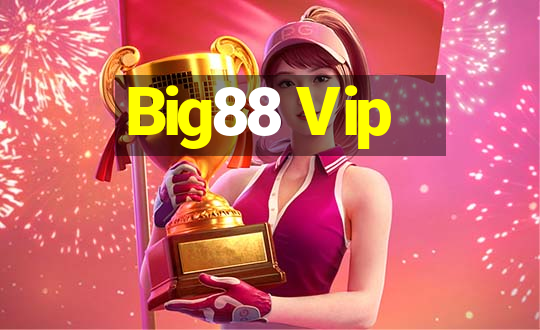 Big88 Vip